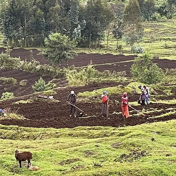 rural Rwanda