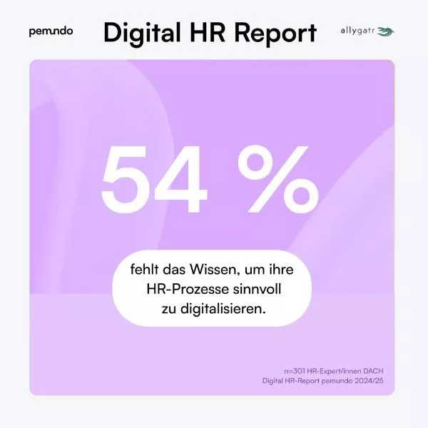 Digital HR Report Grafik 4