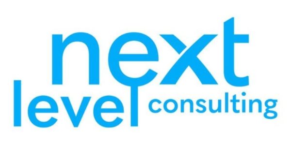 Logo next level consulting